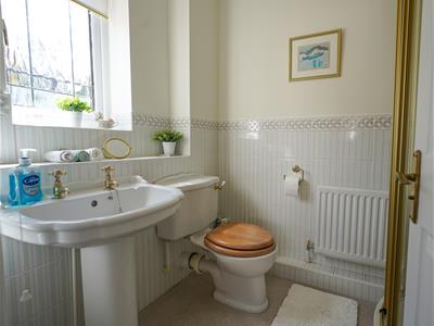 Picture 24